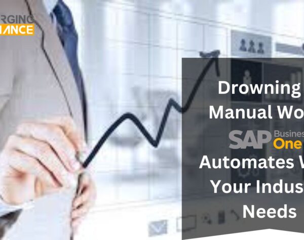 Drowning in Manual Work? SAP B1 Automates What Your Industry Needs