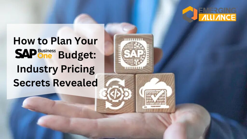 How to Plan Your SAP B1 Budget: Industry Pricing Secrets Revealed