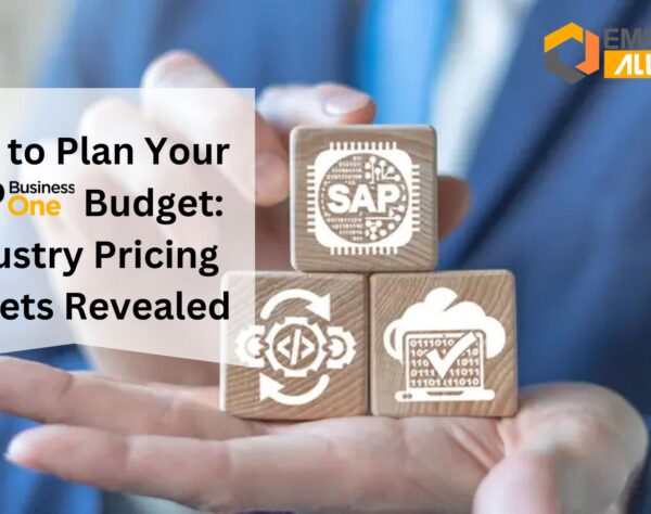 How to Plan Your SAP B1 Budget: Industry Pricing Secrets Revealed