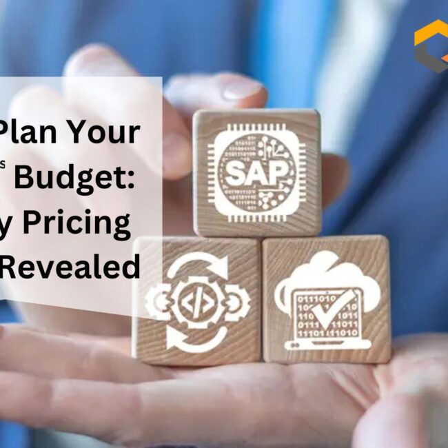 How to Plan Your SAP B1 Budget: Industry Pricing Secrets Revealed