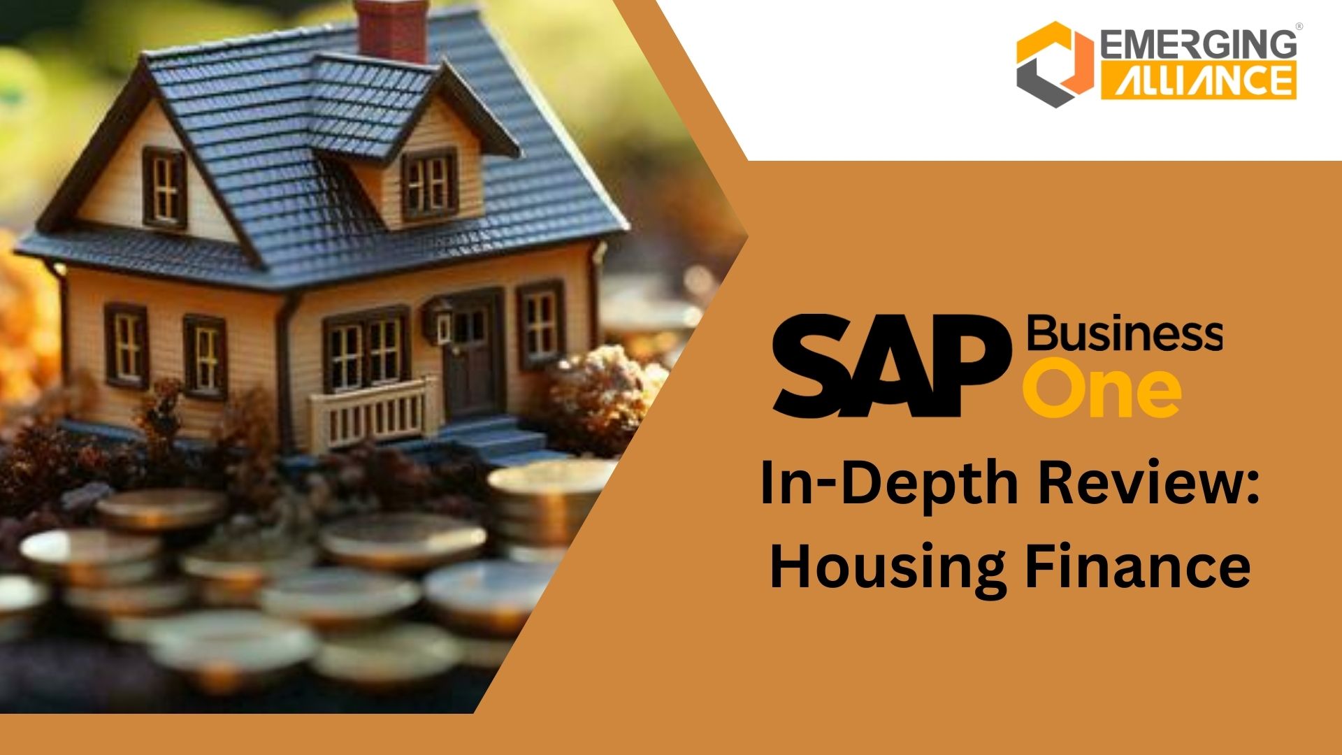 SAP Business One In-Depth Review: Housing Finance