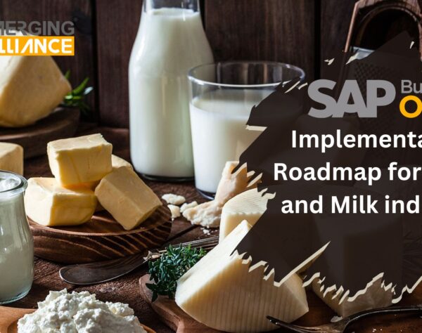 SAP B1 Implementation Roadmap for Dairy and Milk industry