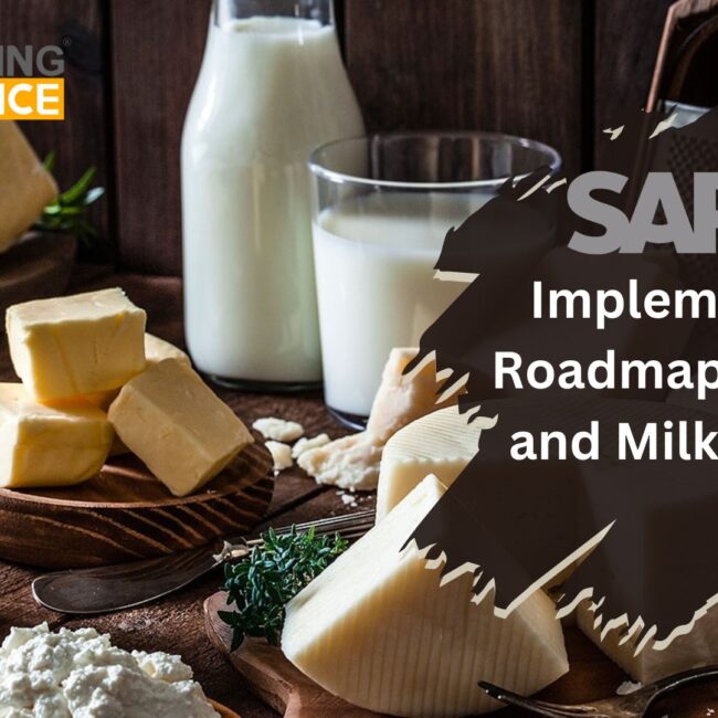 SAP B1 Implementation Roadmap for Dairy and Milk industry