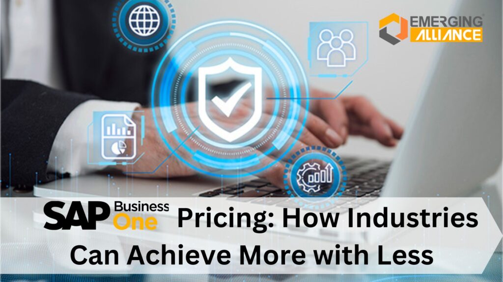 SAP B1 Pricing: How Industries Can Achieve More with Less