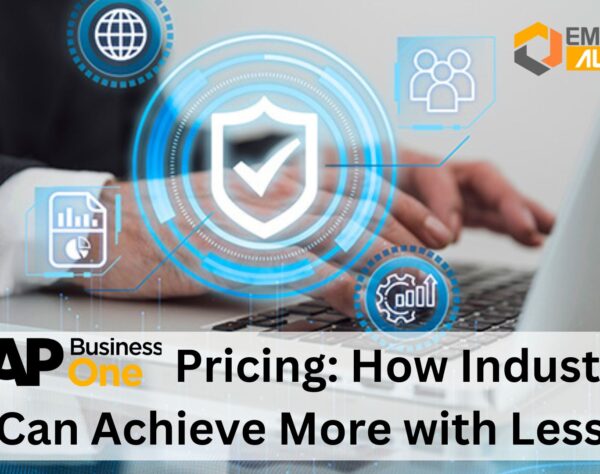 SAP B1 Pricing: How Industries Can Achieve More with Less