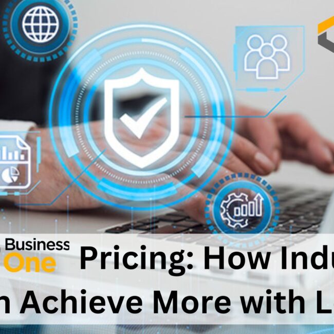 SAP B1 Pricing: How Industries Can Achieve More with Less