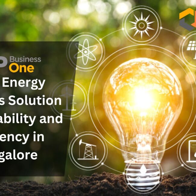 SAP B1 for Energy Industry in Bangalore: The Key to Sustainable Growth