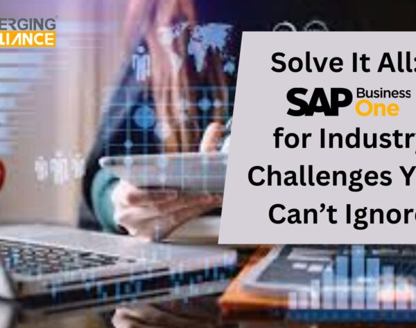 Solve It All: SAP B1 for Industry Challenges You Can’t Ignore