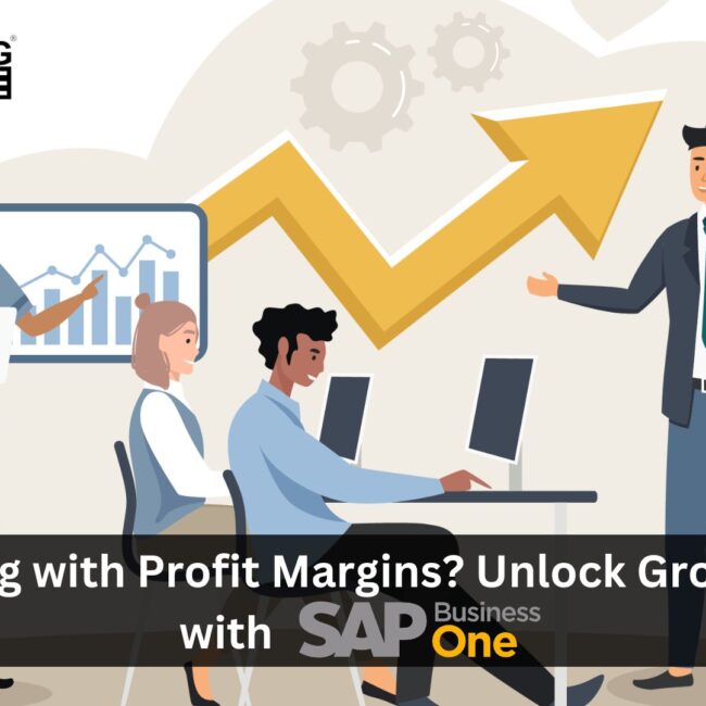 Struggling with Profit Margins? Unlock Growth with SAP Business One