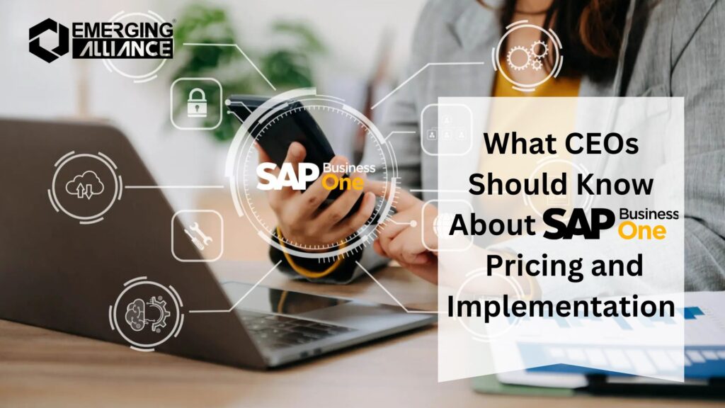 What CEOs Should Know About SAP B1 Pricing and Implementation