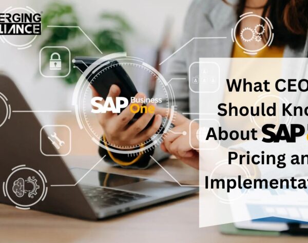 What CEOs Should Know About SAP B1 Pricing and Implementation