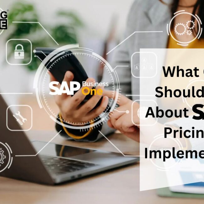 What CEOs Should Know About SAP B1 Pricing and Implementation