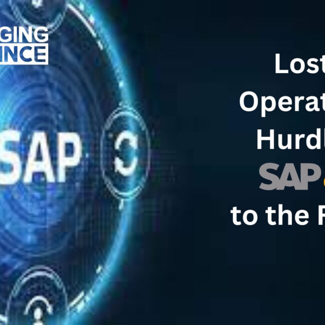 Lost in Operational Hurdles? SAP B1 to the Rescue