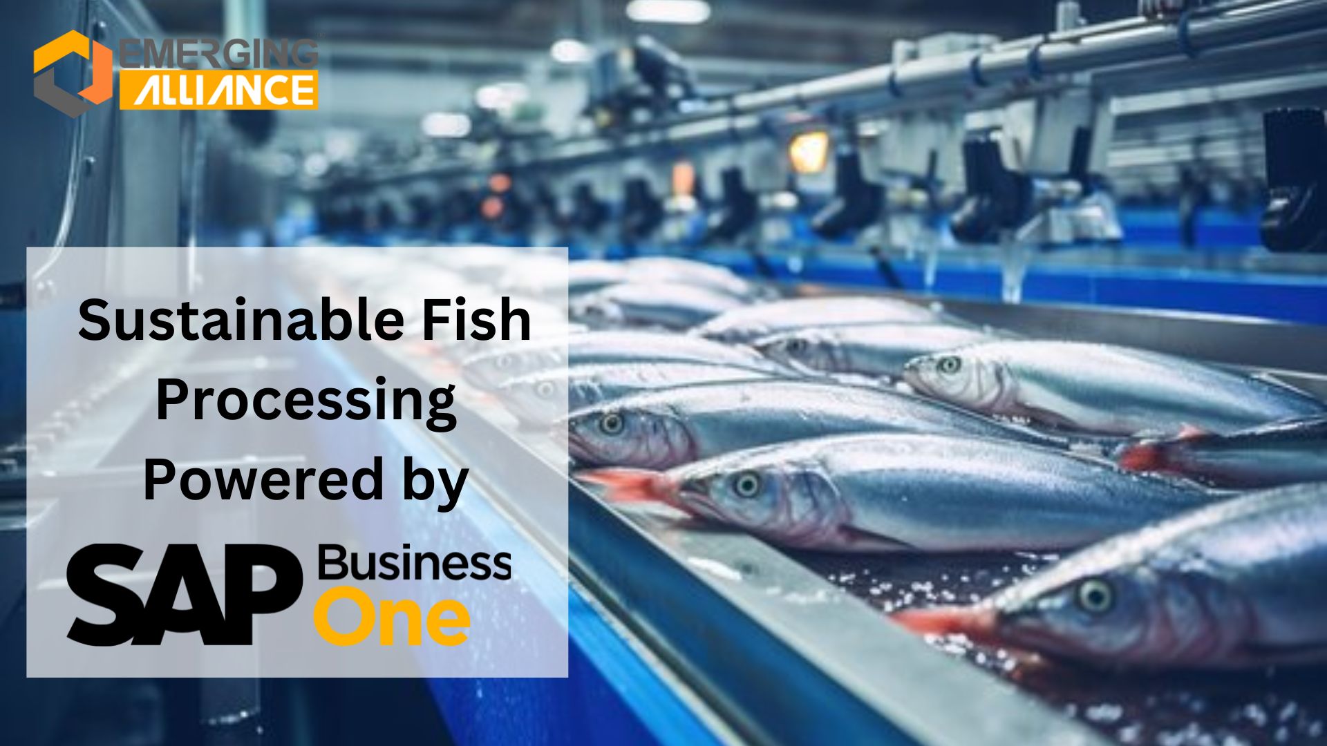 Sustainable Fish Processing Powered by SAP Business One