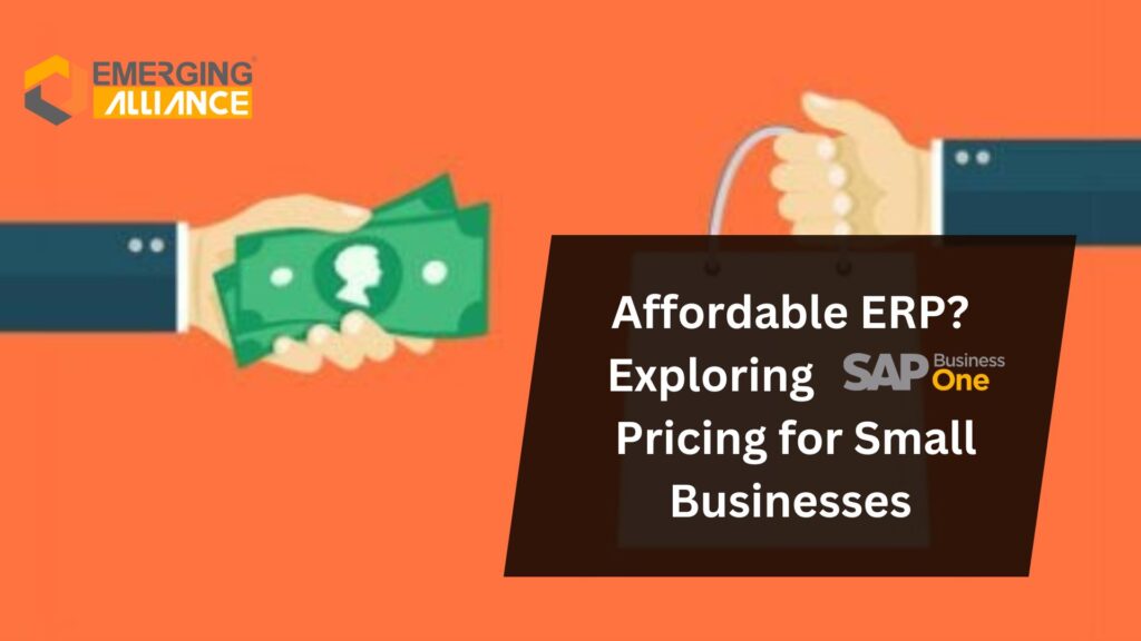 Affordable ERP? Exploring SAP B1 Pricing for Small Businesses