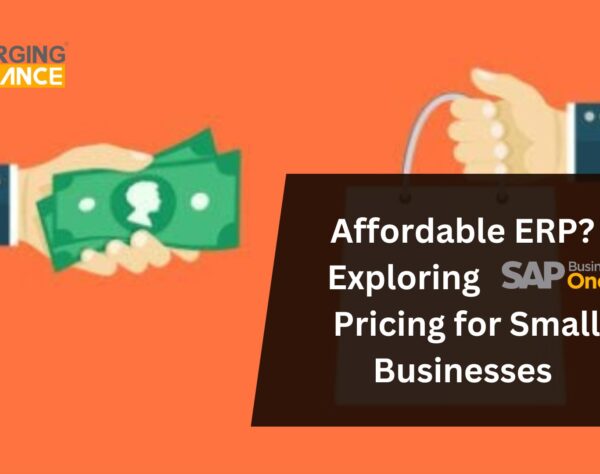 Affordable ERP? Exploring SAP B1 Pricing for Small Businesses