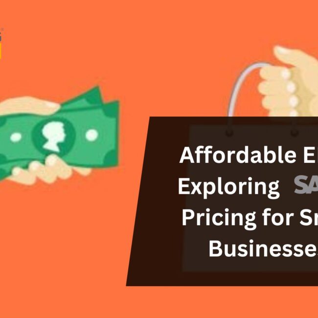 Affordable ERP? Exploring SAP B1 Pricing for Small Businesses