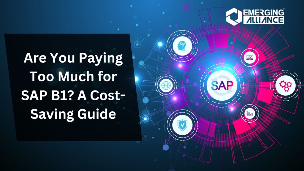 Are You Paying Too Much for SAP B1? A Cost-Saving Guide