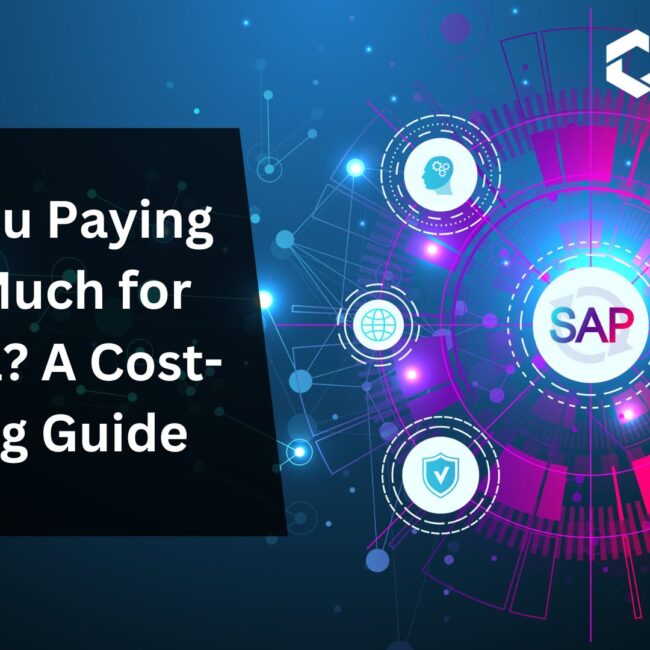 Are You Paying Too Much for SAP B1? A Cost-Saving Guide