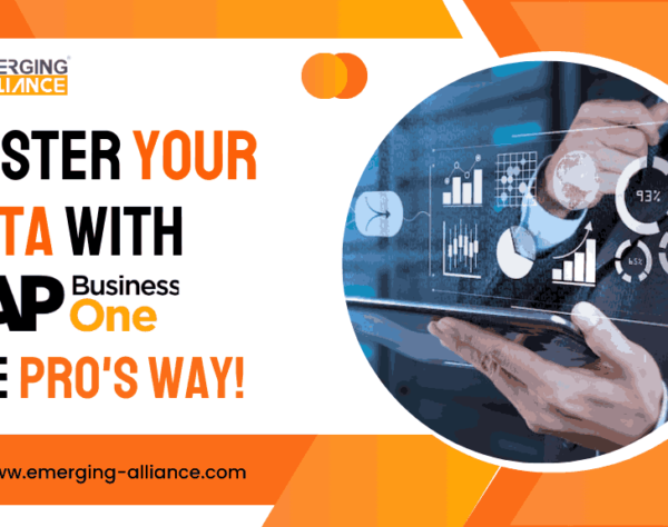 Manage Your Data Like a Pro with SAP Business One