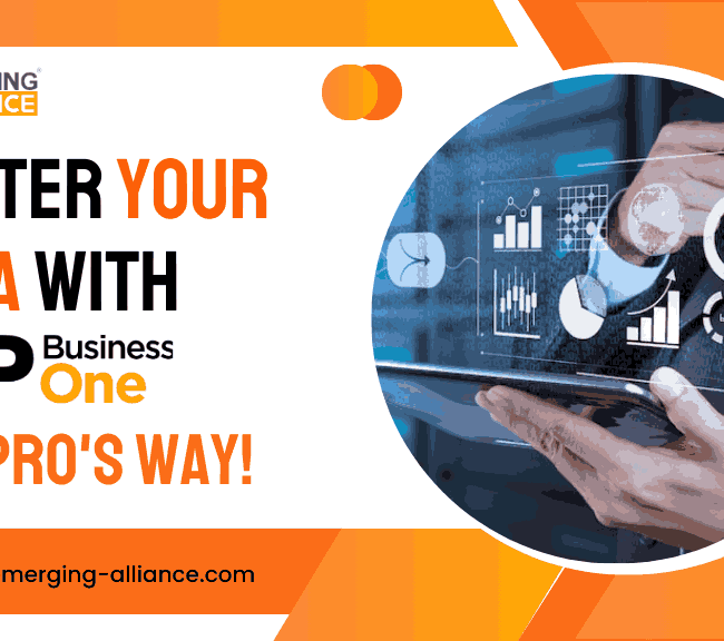 Manage Your Data Like a Pro with SAP Business One