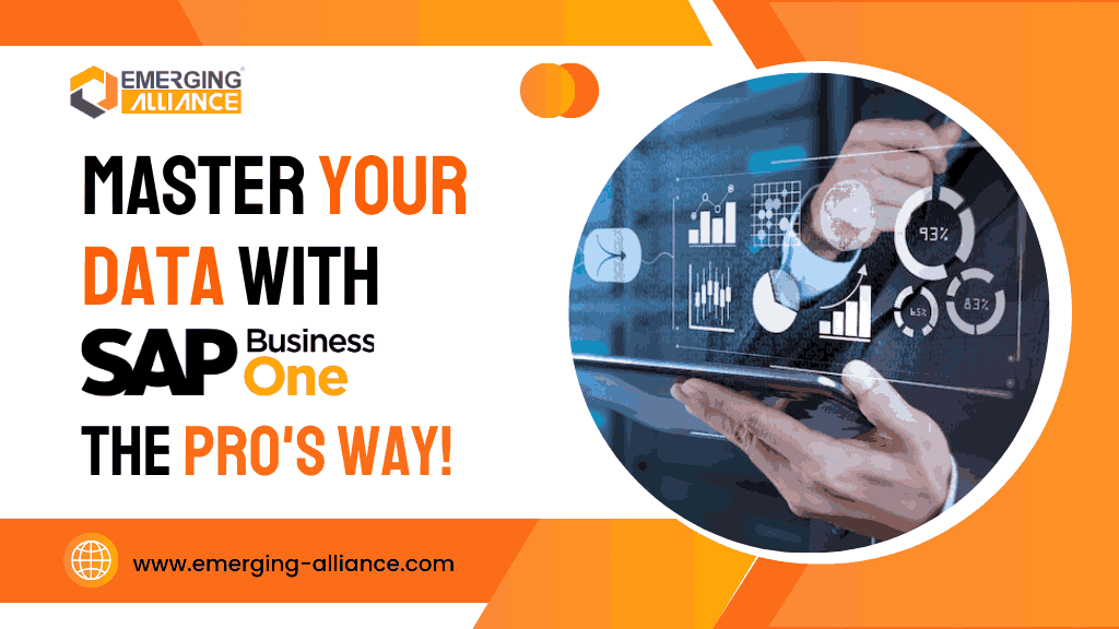 Manage Your Data Like a Pro with SAP Business One