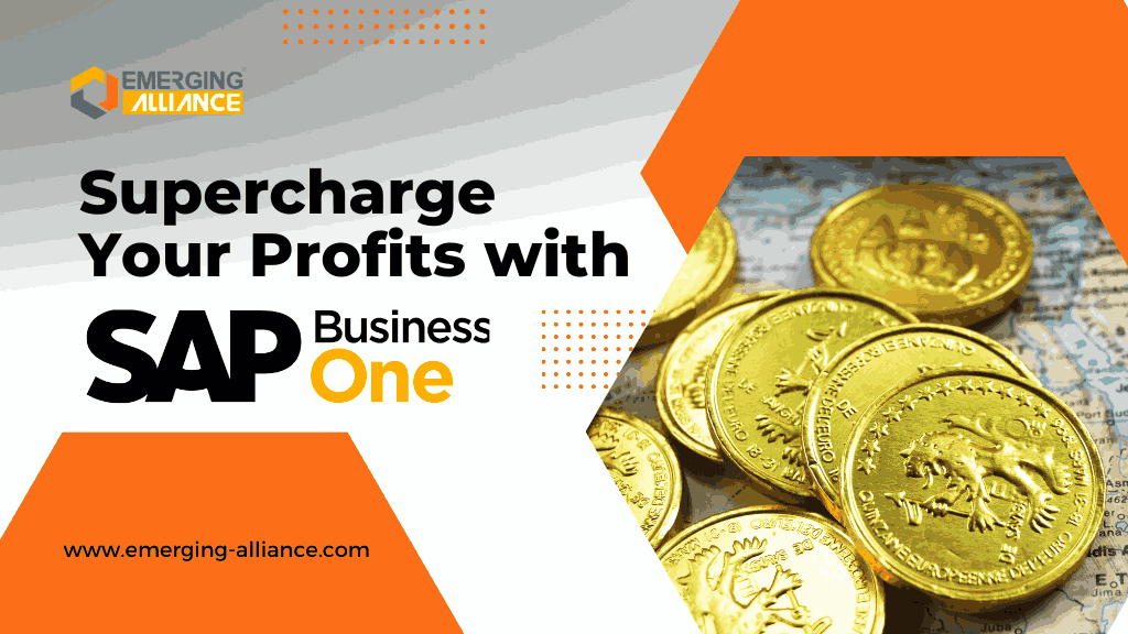 Fast-Track Your Profits with SAP Business One in Action