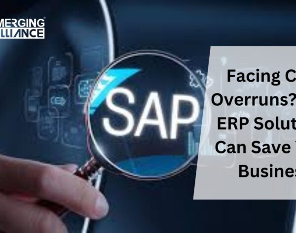 Facing Cost Overruns? How ERP Solutions Can Save Your Business