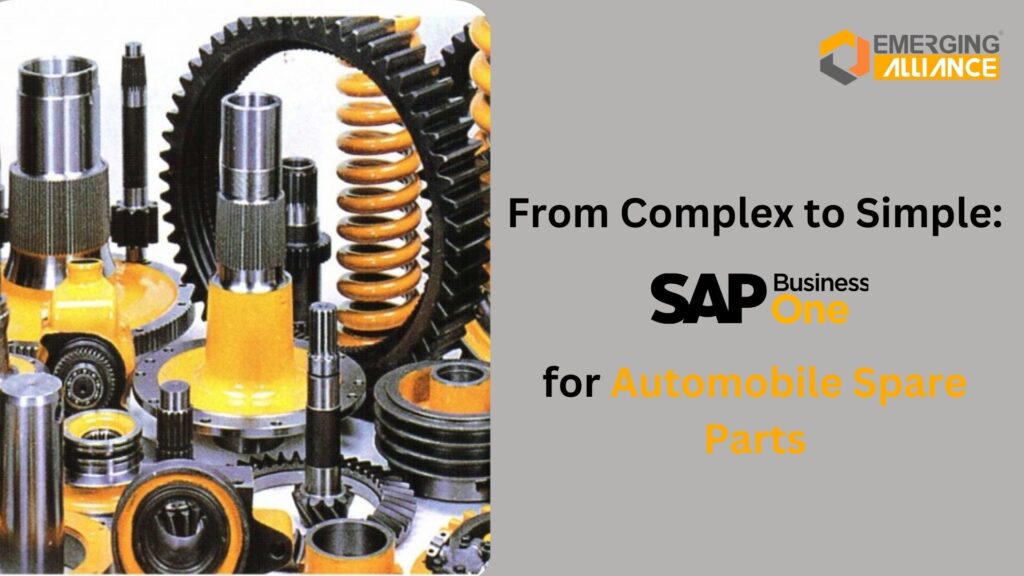 From Complex to Simple: SAP B1 for Automobile Spare Parts