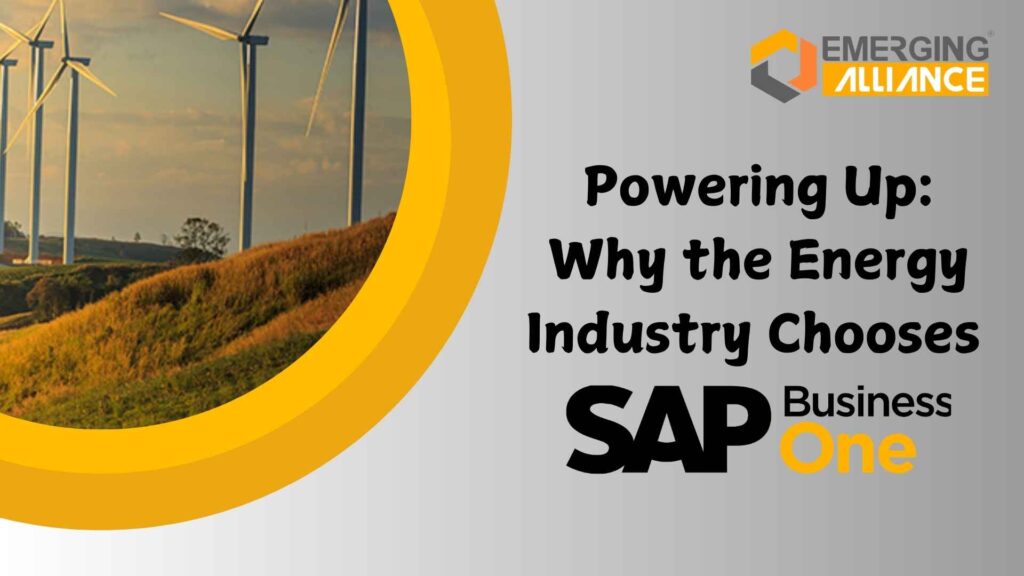 Powering Up Why the Energy Industry Chooses SAP B1