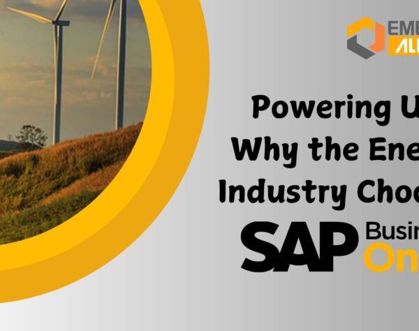 Powering Up Why the Energy Industry Chooses SAP Business One