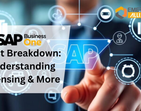 SAP Business One Cost Breakdown: Understanding Licensing & More