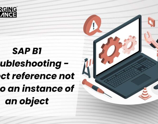 SAP B1 Troubleshooting -Object reference not set to an instance of an object