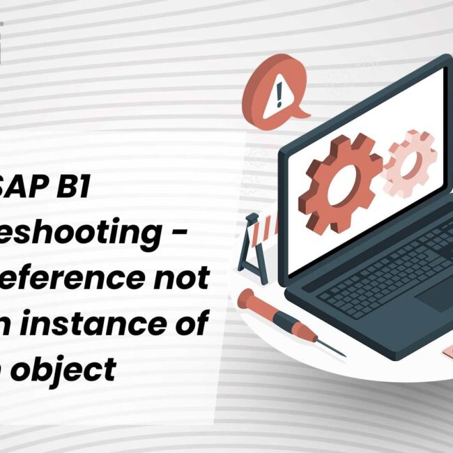 SAP B1 Troubleshooting -Object reference not set to an instance of an object