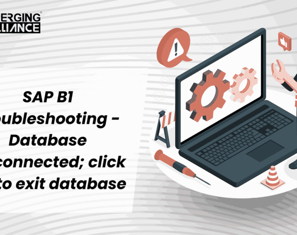 SAP B1 Integration for Troubleshooting Database disconnection.