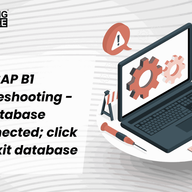 SAP B1 Integration for Troubleshooting Database disconnection.