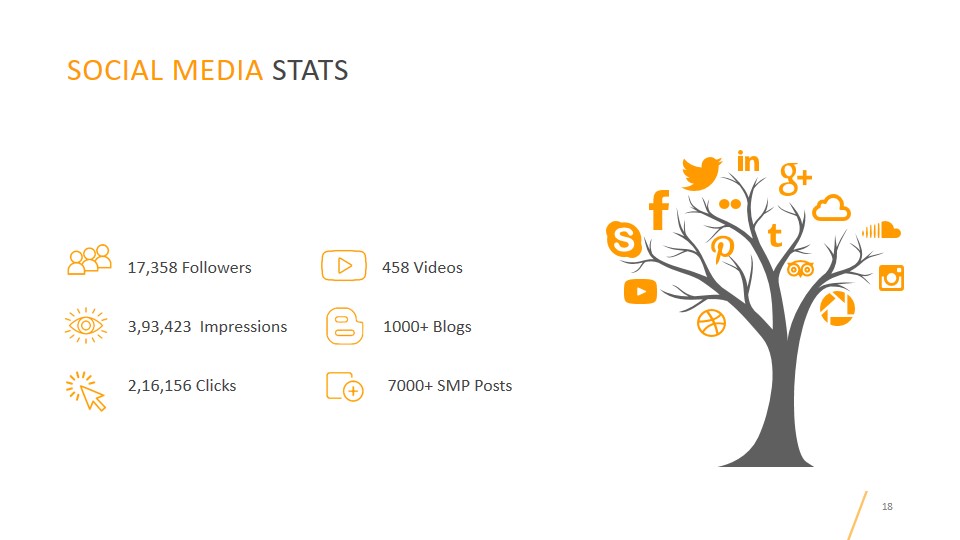 Social Media Stats in SAP B1