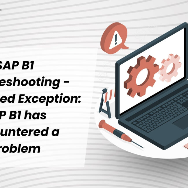 SAP B1 Troubleshooting - Unhandled Exception: SAP B1 has encountered a problem