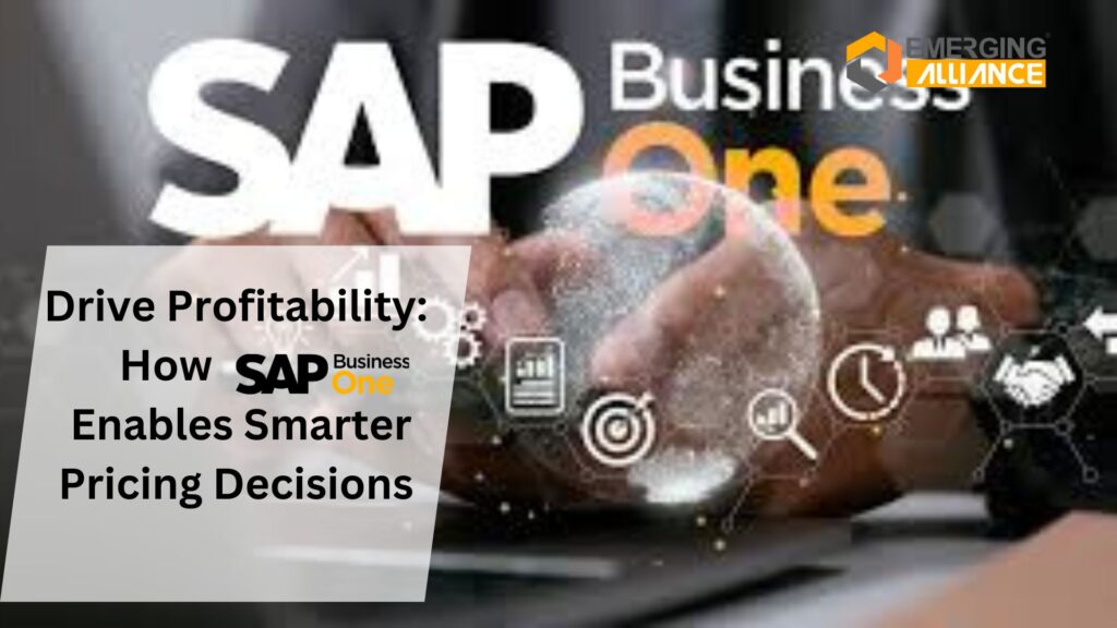 Drive Profitability: How SAP Business One Enables Smarter Pricing Decisions