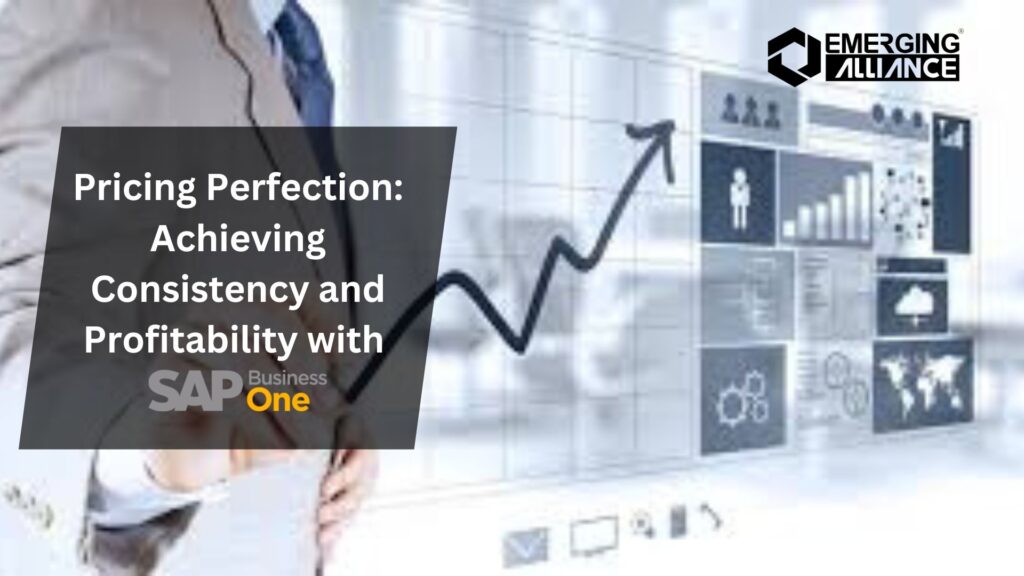 Pricing Perfection: Achieving Consistency and Profitability with SAP B1