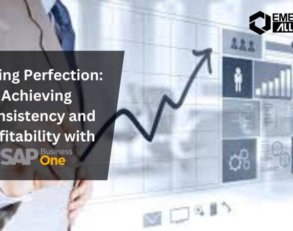 Pricing Perfection: Achieving Consistency and Profitability with SAP B1