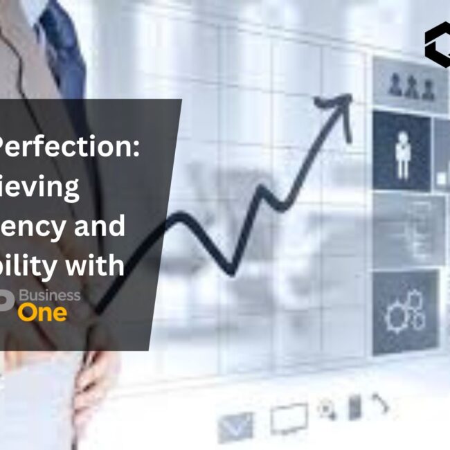 Pricing Perfection: Achieving Consistency and Profitability with SAP B1