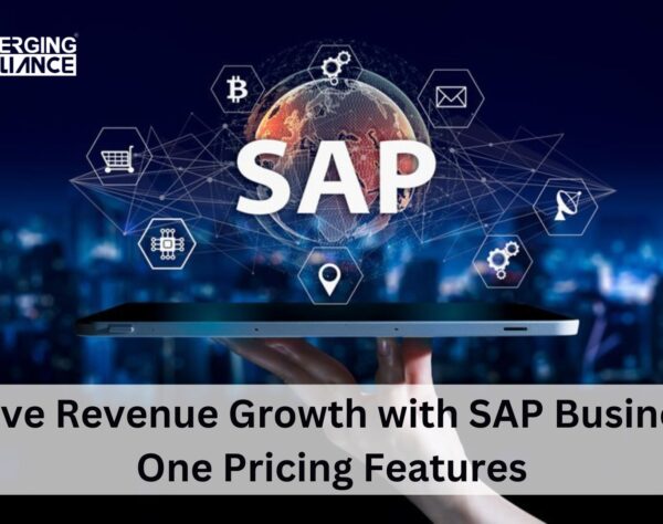 Drive Revenue Growth with SAP Business One Pricing Features