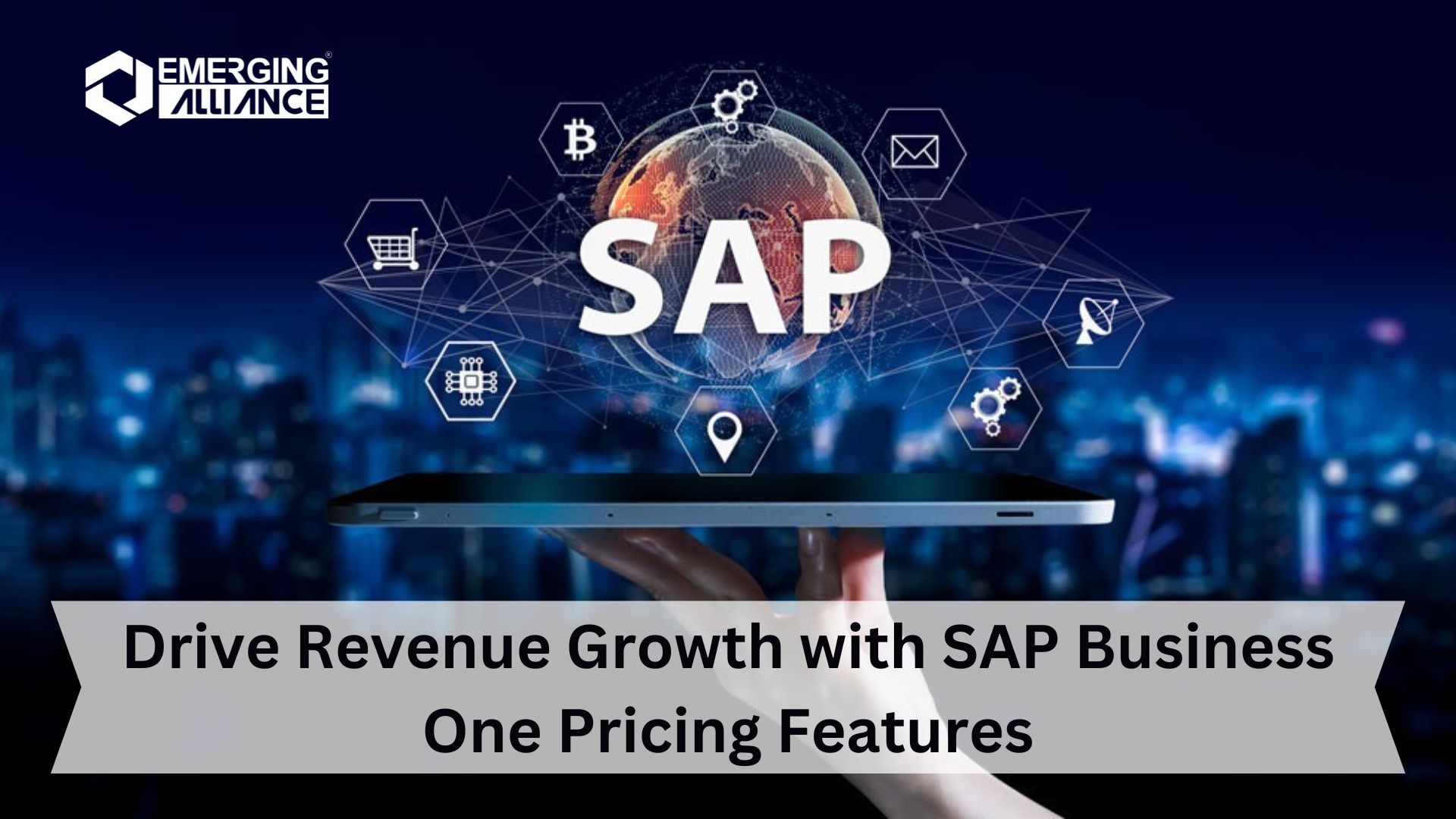 Drive Revenue Growth with SAP Business One Pricing Features