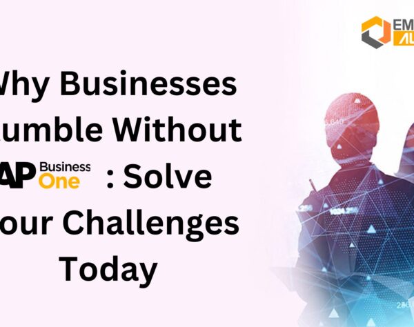 Why Businesses Stumble Without SAP B1: Solve Your Challenges Today