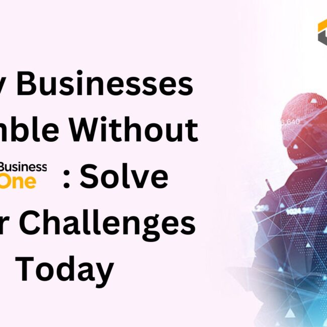 Why Businesses Stumble Without SAP B1: Solve Your Challenges Today