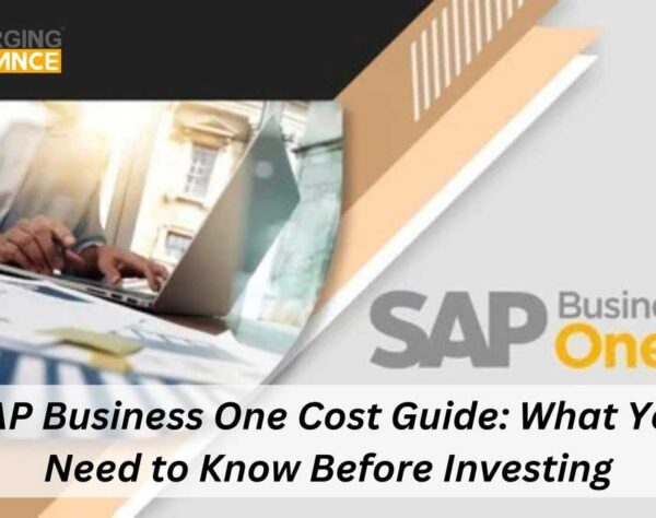 SAP Business One Cost Guide: What You Need to Know Before Investing