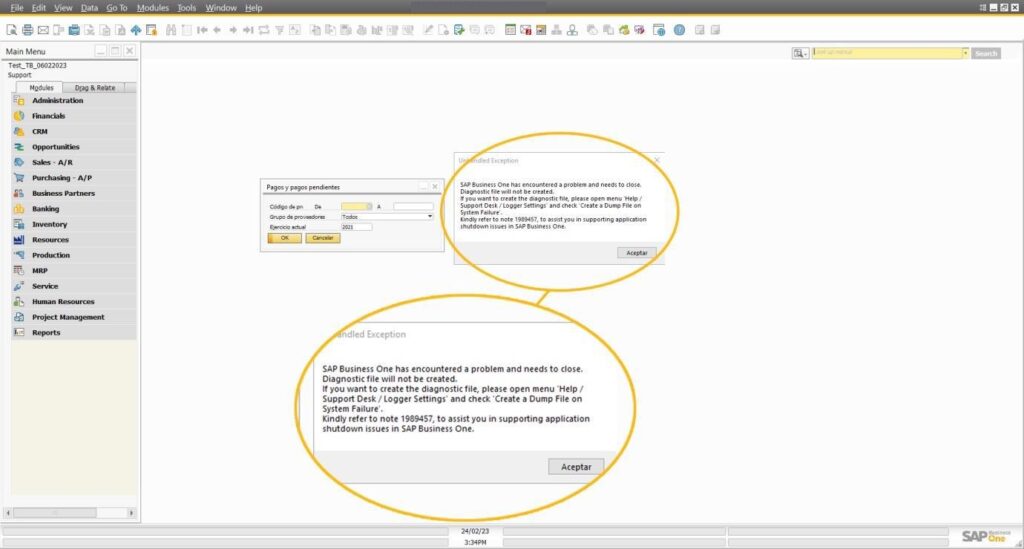 SAP B1 Troubleshooting - Unhandled Exception: SAP B1 has encountered a problem