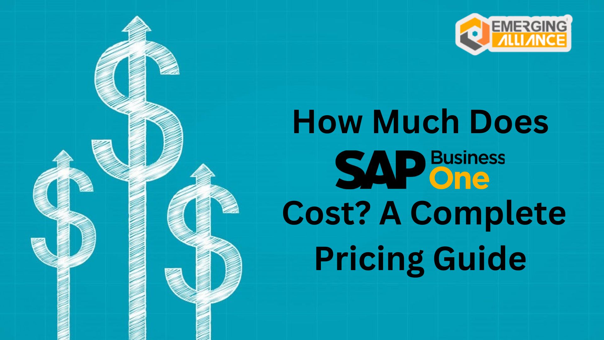 How Much Does SAP Business One Cost? A Complete Pricing Guide