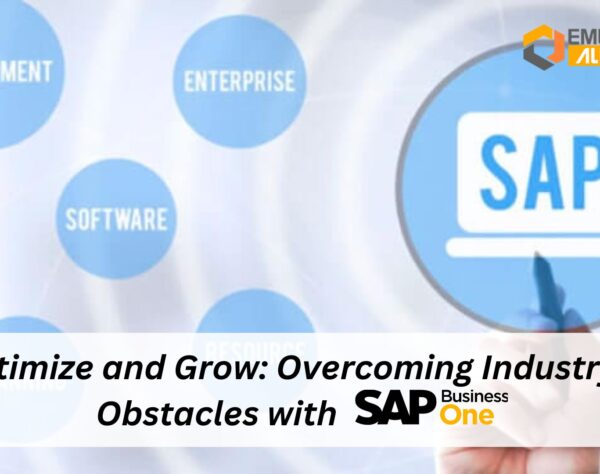 Optimize and Grow: Overcoming Industry Obstacles with SAP B1